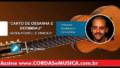 canto de ossanha e berimbau viol